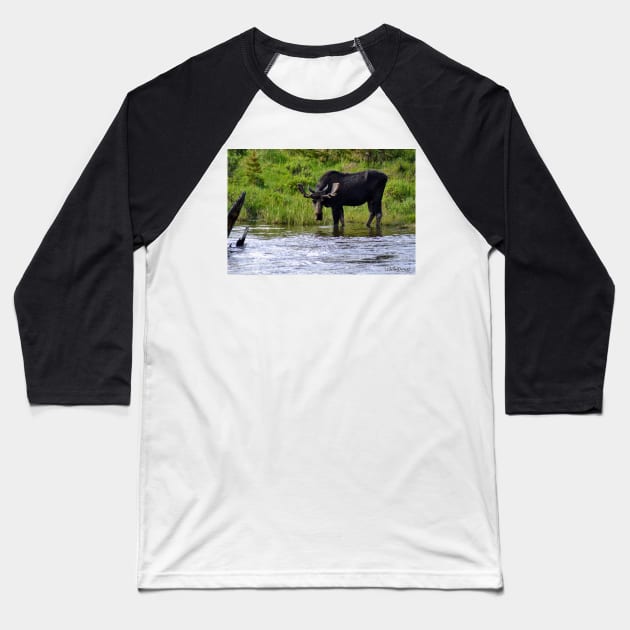 Moose at the Colorado River Baseball T-Shirt by Leslie Pino Durant